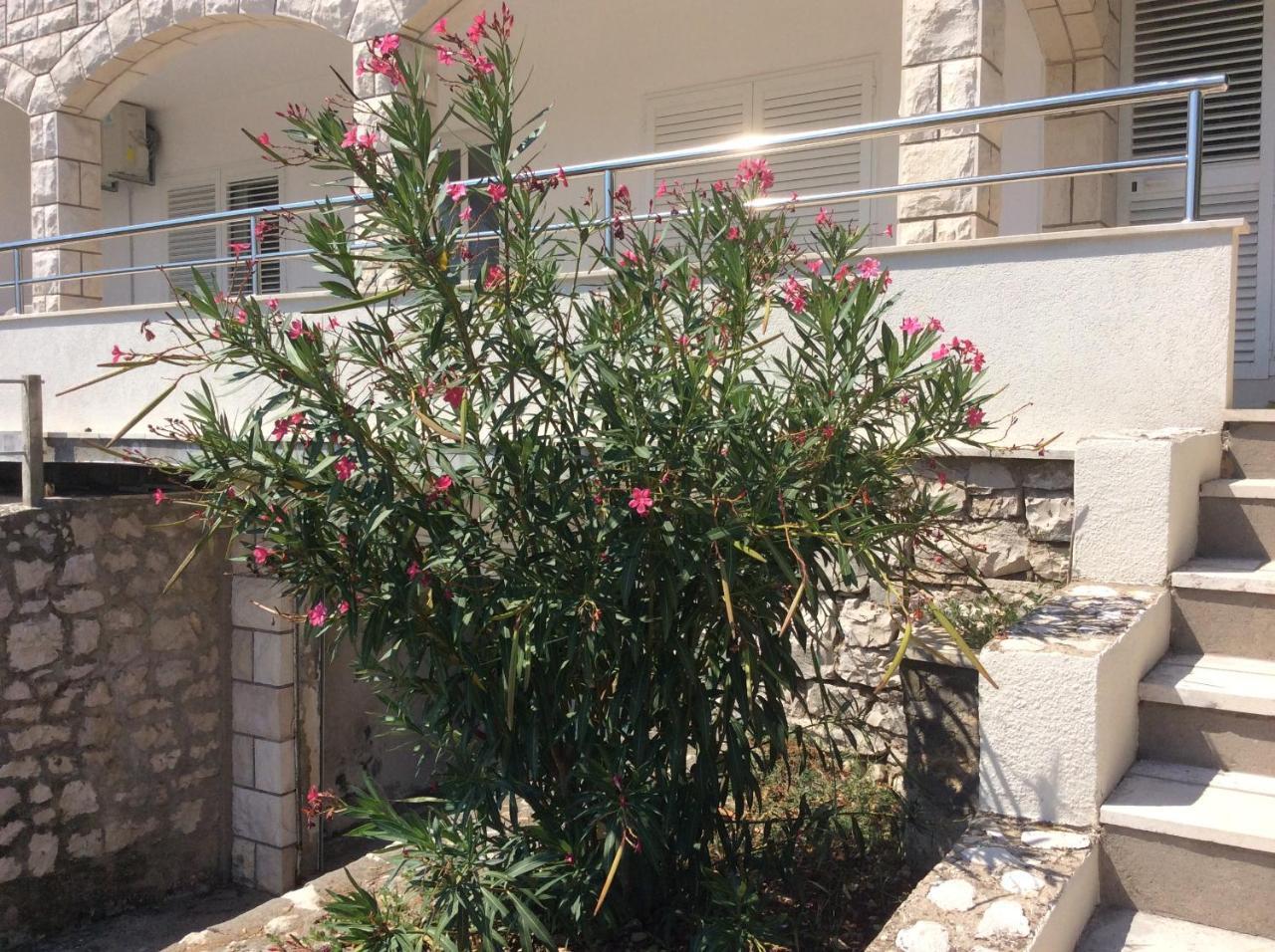 Lux Apartments Korčula Eksteriør bilde